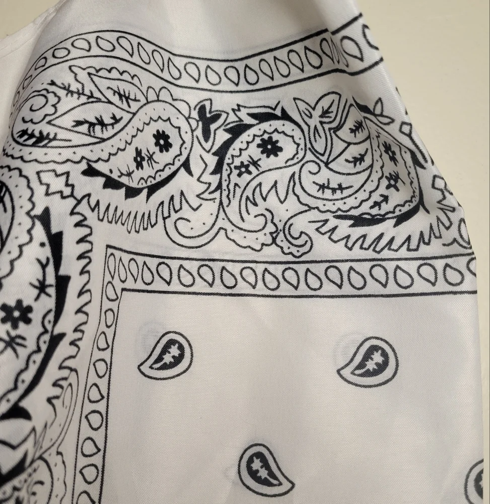 Bundle 2 bandanas